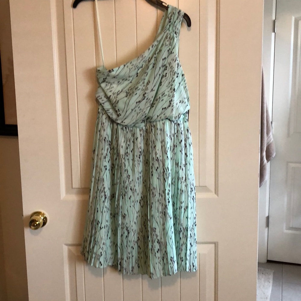 Mint Green Pleated Floral Vincent Camino Dress